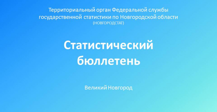 Выпущен статистический бюллетень «Рождаемость и смертность в Новгородской области в январе - октябре 2020 года»